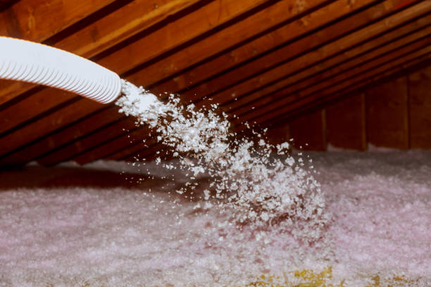 Best Specialty Insulation in Hampton, IL