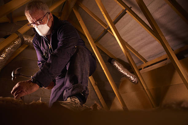 Best Insulation Maintenance and Repair in Hampton, IL